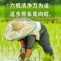 芒种节气祝福合成手机海报.jpg