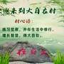 大自在村首页海报.jpg