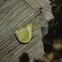 leaf.webp