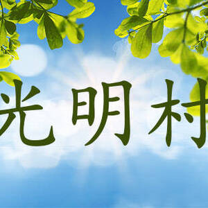 光明村海报.jpeg